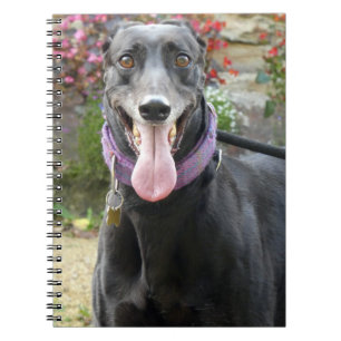 Cuaderno Billete de Greyhound