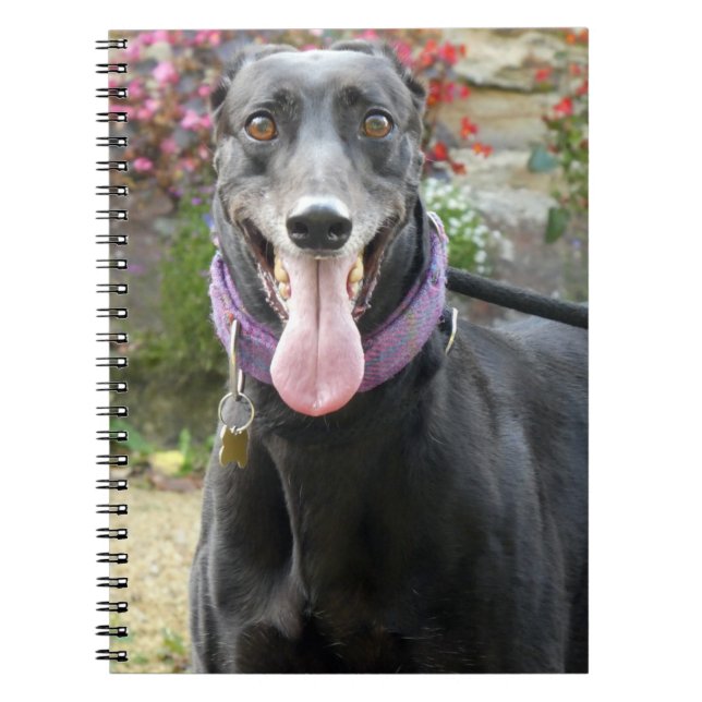 Cuaderno Billete de Greyhound (Frente)