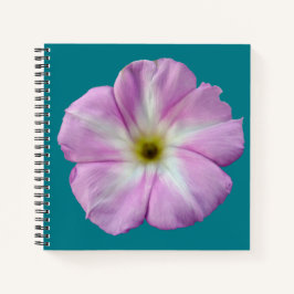 Cuaderno Bindweed #1