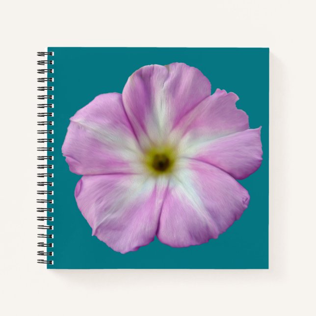 Cuaderno Bindweed #1 (Anverso)