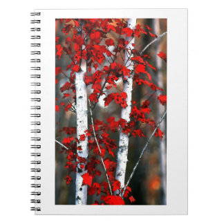 Cuaderno Birch#2-Notebook