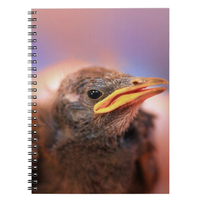 Cuaderno Bird (Frente)