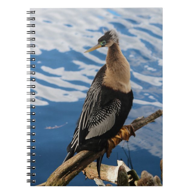 Cuaderno Bird Photo Spiral Notebook de Anhinga (Frente)
