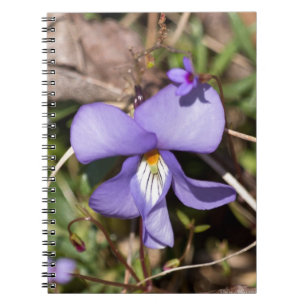 Cuaderno Birds-Foot Violet w/ Bluets