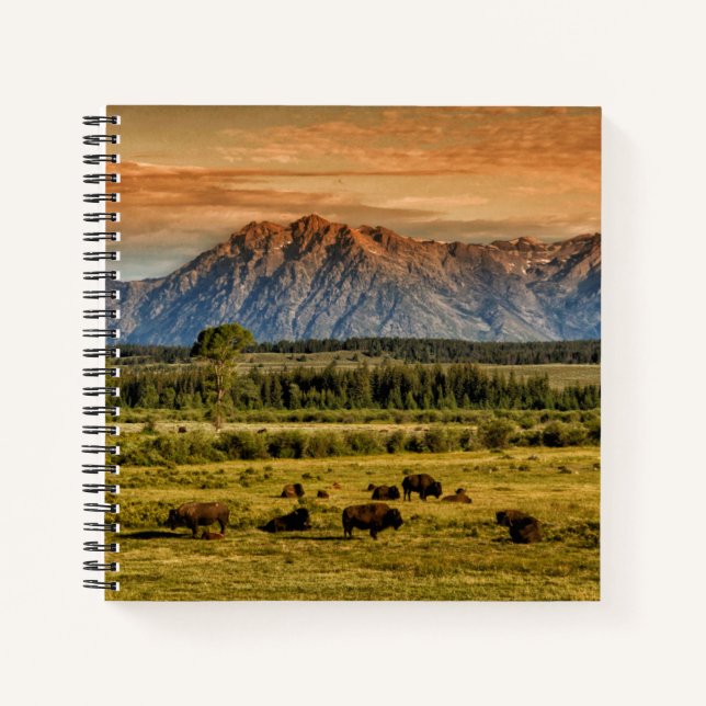 Cuaderno Bison at Sunrise (Anverso)