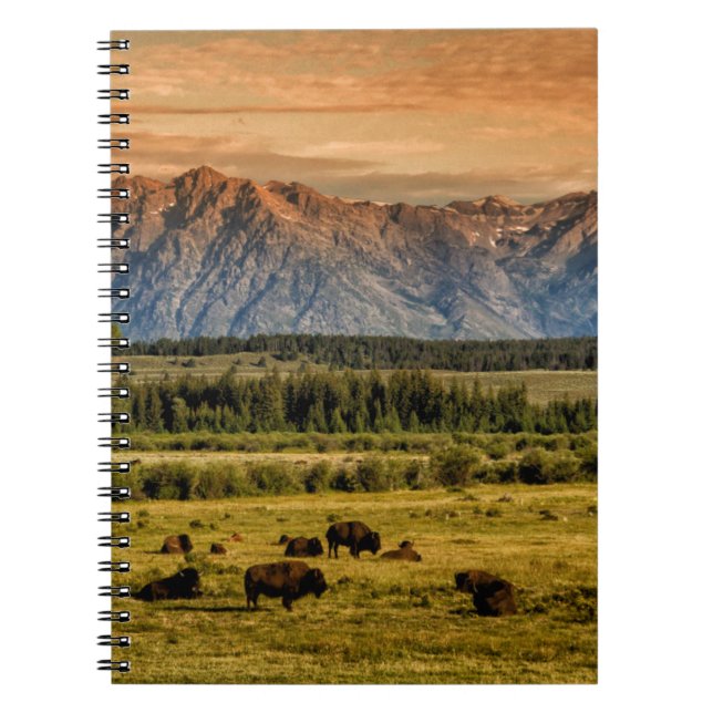 Cuaderno Bison at Sunrise (Frente)