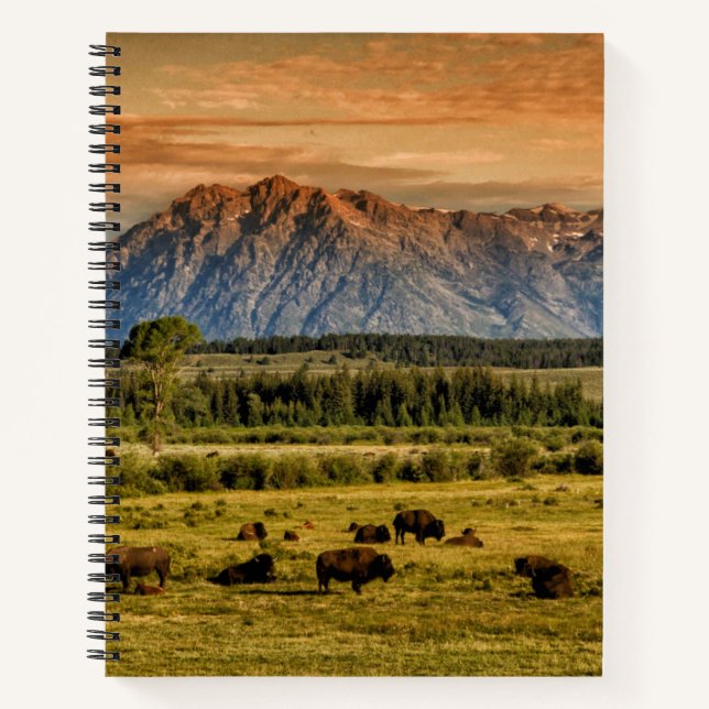 Cuaderno Bison at Sunrise (Anverso)