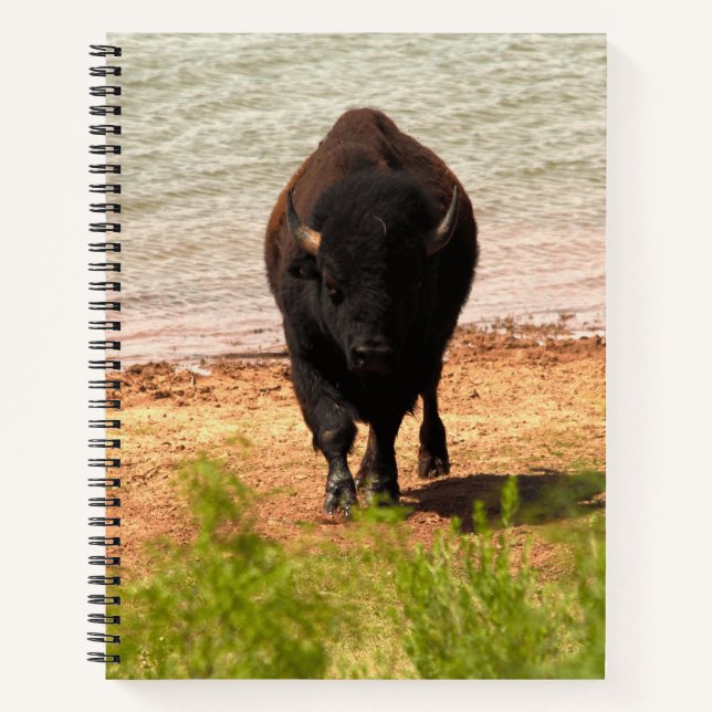 Cuaderno Bison at the Water (Anverso)