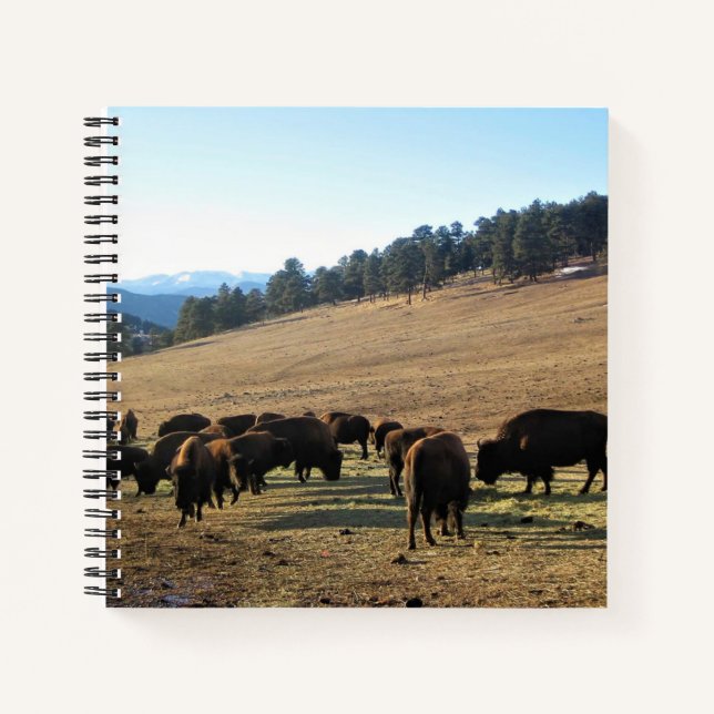 Cuaderno Bison de Colorado (Anverso)