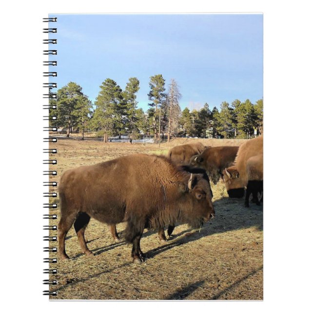 Cuaderno Bison de Colorado (Frente)