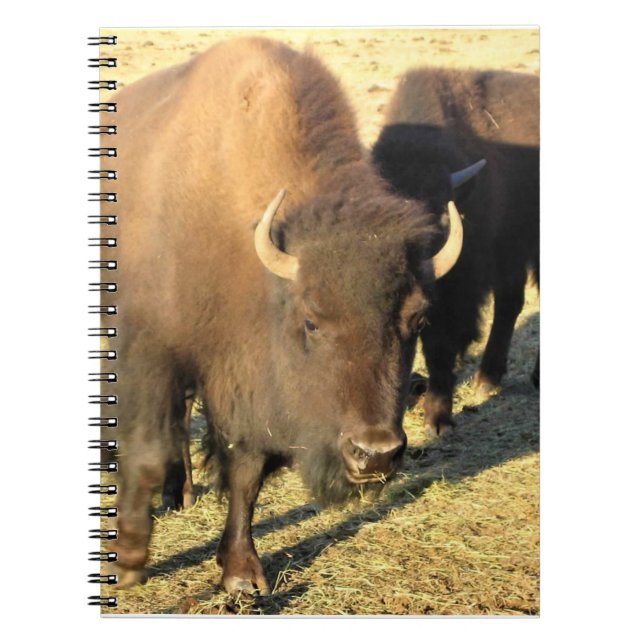 Cuaderno Bison de Colorado (Frente)