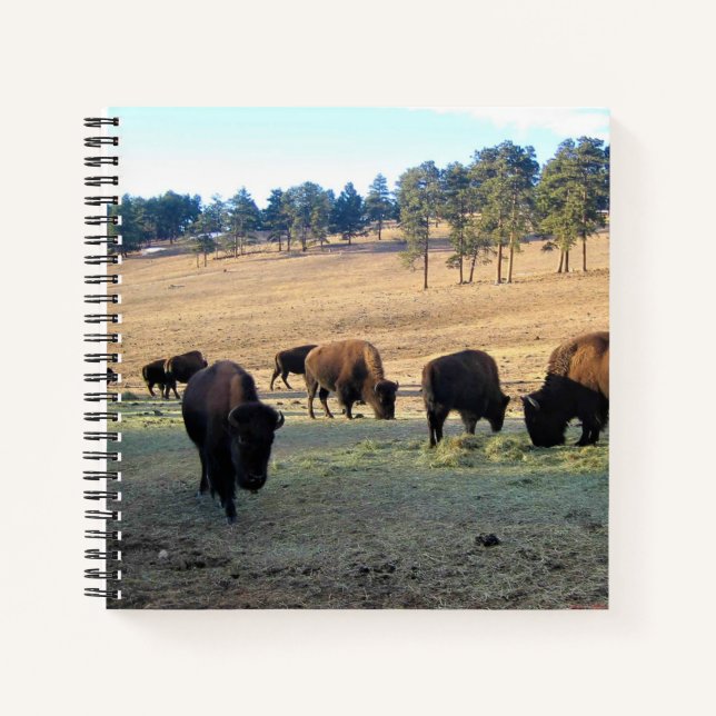 Cuaderno Bison de Colorado (Anverso)