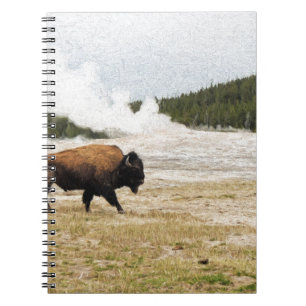 Cuaderno Bison y Old Faithful