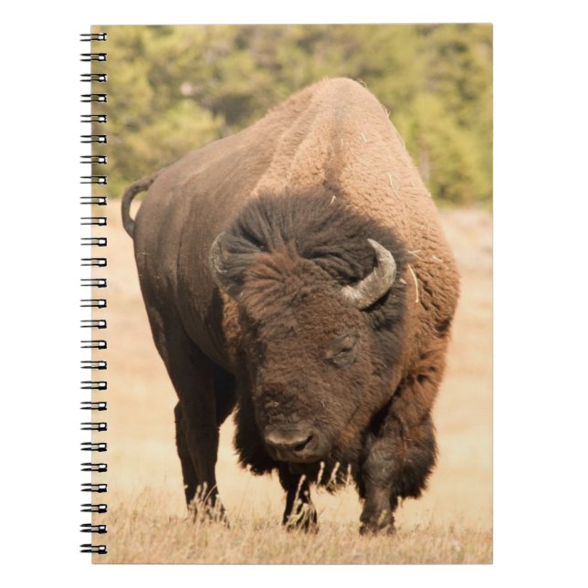 Cuaderno Bisonte (Frente)