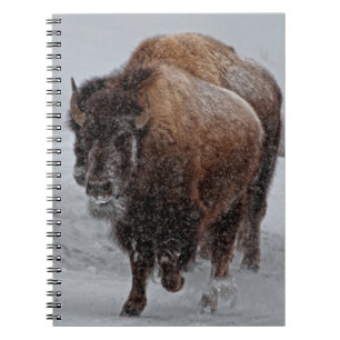 Cuaderno Bisonte de Yellowstone