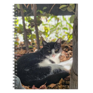 Cuaderno Black and White cat in a bush