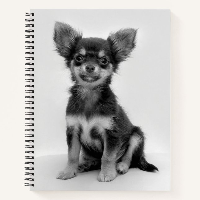 Cuaderno Black and White Chihuahua Puppy Photo (Anverso)