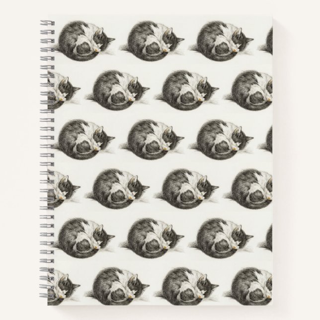Cuaderno Black and white pencil drawing of a sleeping cat (Anverso)