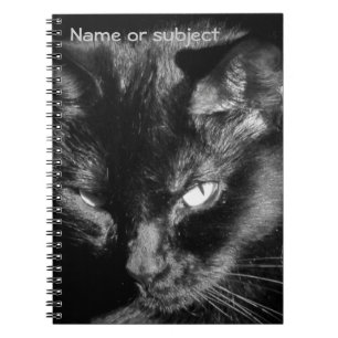 Cuaderno Black Cat Lookin You