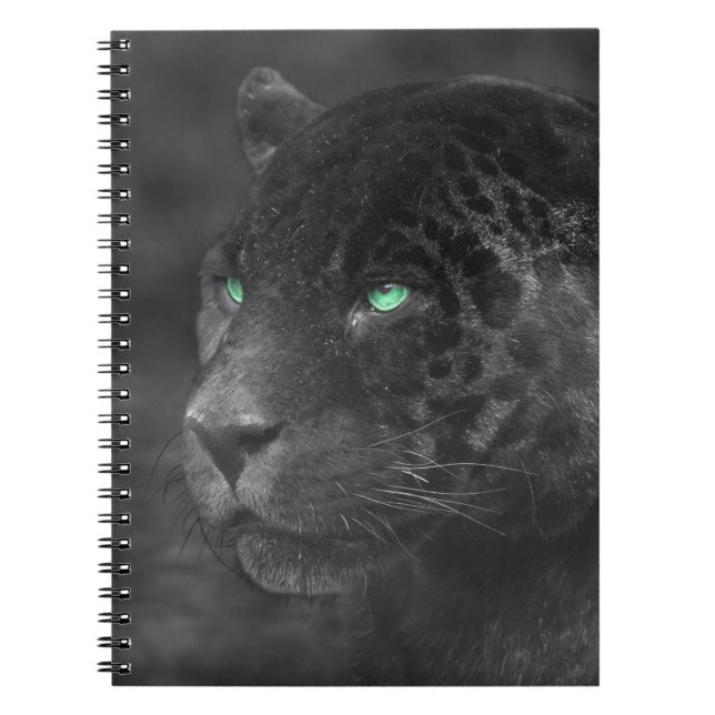 Cuaderno Black Jaguars Emerald Gaze (Frente)