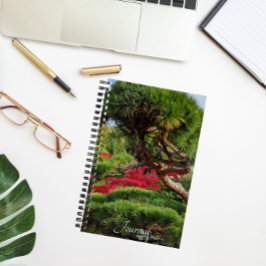 Cuaderno Black Pine Tree and Red Japanese Maple Photo