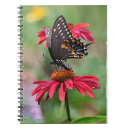 Cuaderno Black Swallowtail oriental sobre la flor de conos