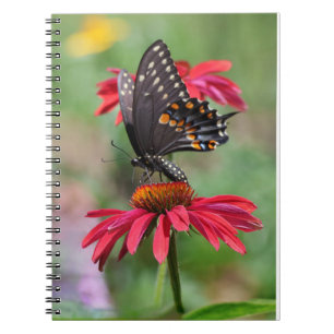 Cuaderno Black Swallowtail oriental sobre la flor de conos