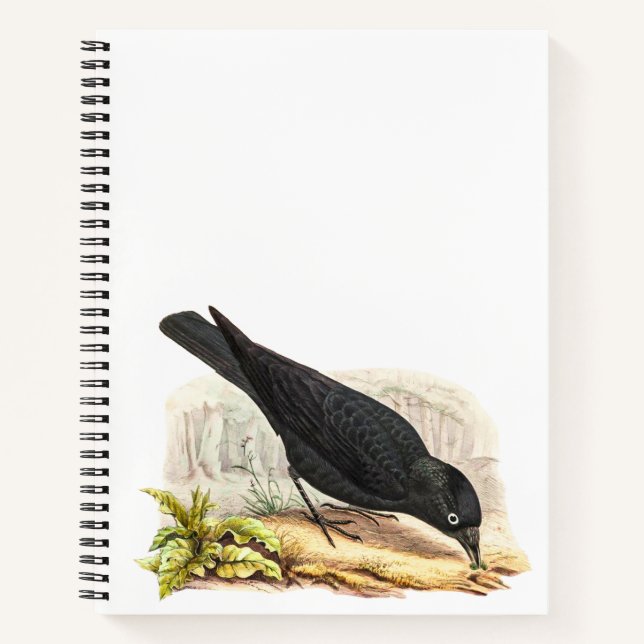 Cuaderno Blackbird El Raven (Anverso)
