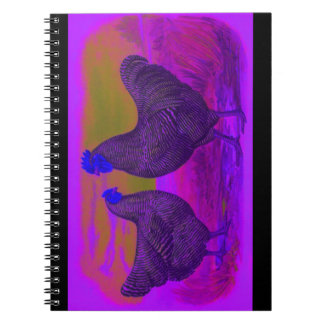 Cuaderno BlackLight