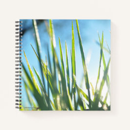 Cuaderno Blades iluminados por el sol