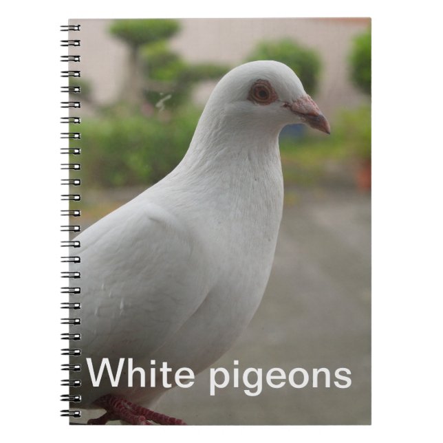Cuaderno blanco de las palomas (Frente)