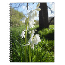 Cuaderno blanco de los Bluebells