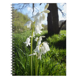 Cuaderno blanco de los Bluebells