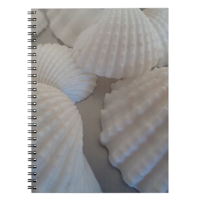 Cuaderno Blanco gris, concha de mar, concha de mar Playa de (Frente)