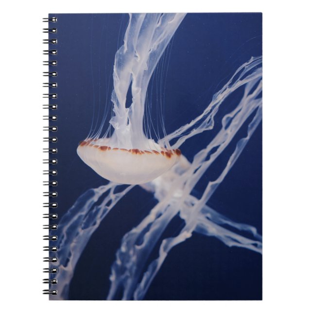 CUADERNO BLANCO JELLY FISH (Frente)