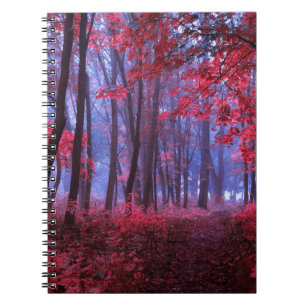 Cuaderno Blanco y negro. Antecedentes de la pintura abstrac