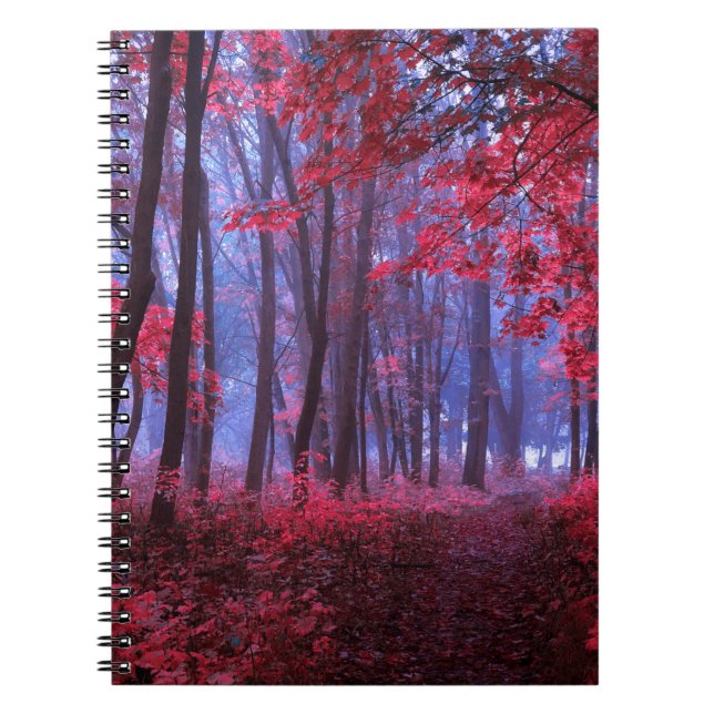 Cuaderno Blanco y negro. Antecedentes de la pintura abstrac (Frente)