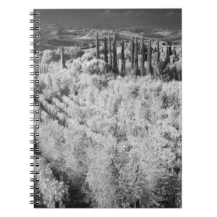 Cuaderno Blanco y Negro de viñedos, Montepulciano, Italia