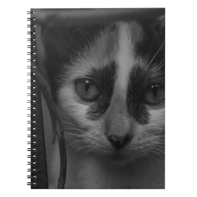 Cuaderno Blanco y Negro - Gatito 02 (Frente)