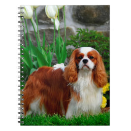 Cuaderno Blenheim Cavalier King Charles Spaniel Dog