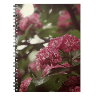 Cuaderno Bloc de fotos de flores rosadas en flor (80 página