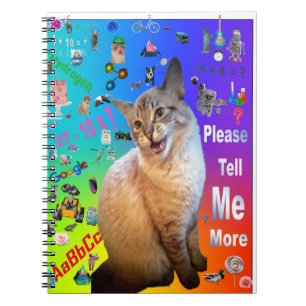 Cuaderno Bloc de fotos espiral Gato Ragdoll
