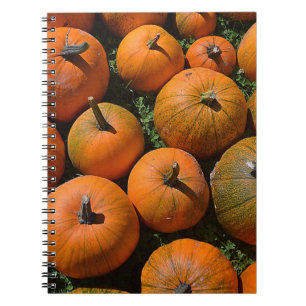 Cuaderno Bloc de notas