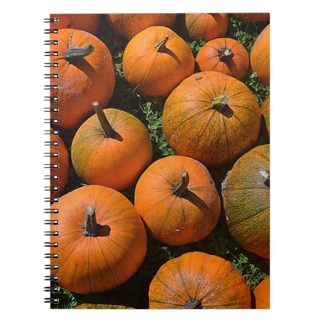 Cuaderno Bloc de notas (Frente)