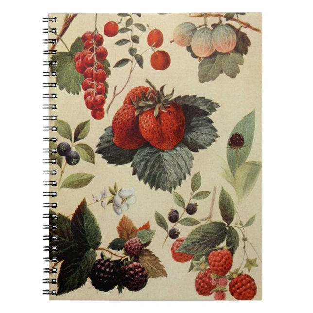 Cuaderno bloc de notas BERRIES BERRIES (Frente)