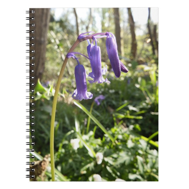 Cuaderno Bloc de notas Bluebells (Frente)