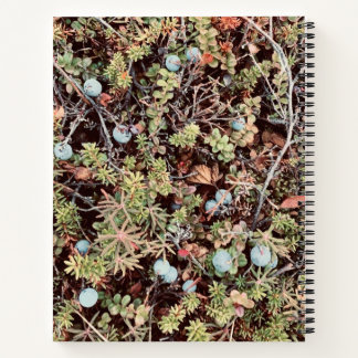 Cuaderno Bloc de notas Blueberry
