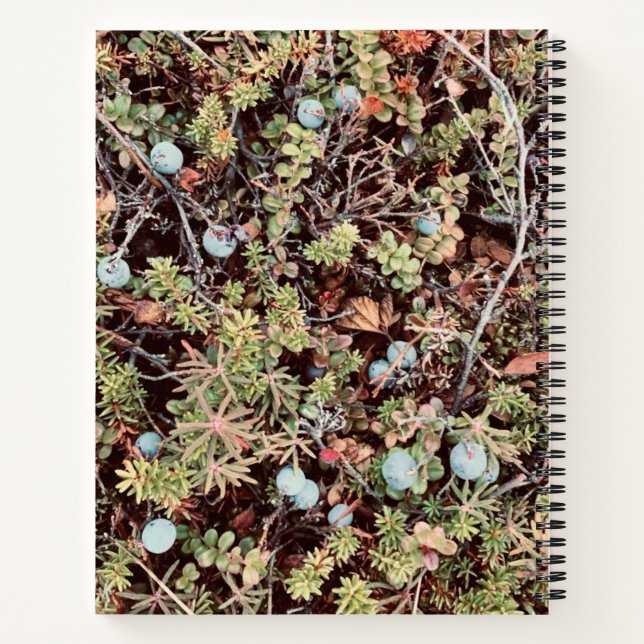 Cuaderno Bloc de notas Blueberry (Reverso)