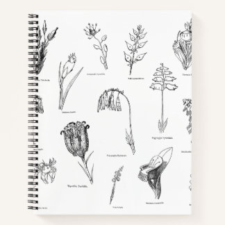 Cuaderno Bloc de notas Botánico sin sentido