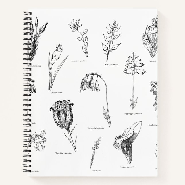 Cuaderno Bloc de notas Botánico sin sentido (Anverso)